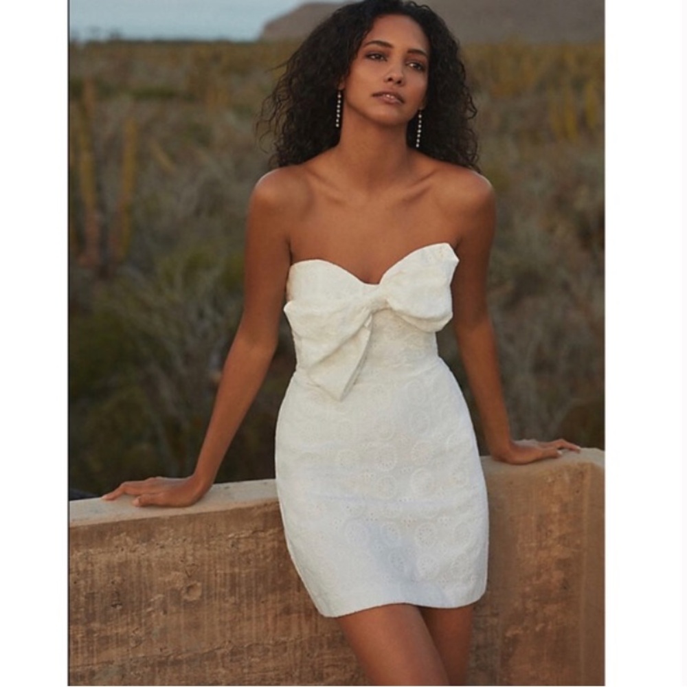 NWT Hutch by Anthropologie Dress